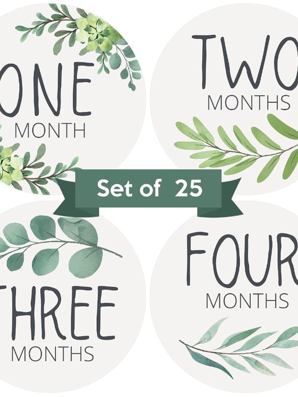 Baby Monthly Milestone Stickers - Set of 24 - Greenery Designs
